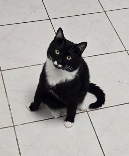 Stewie photo 1