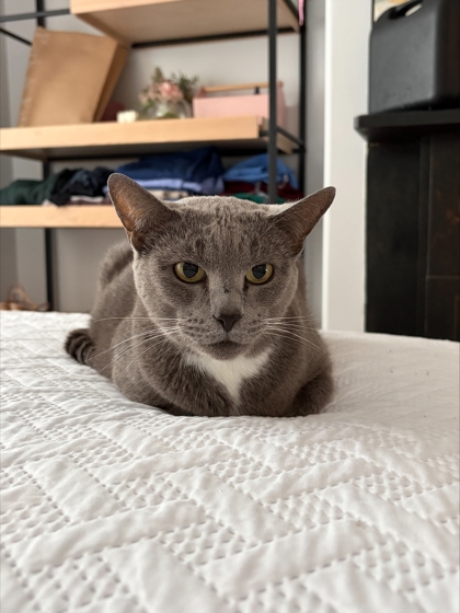 Mia