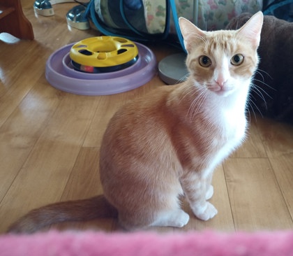 Edna